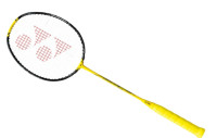 Badminton Players Advance level