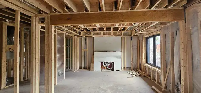 Professional Carpenter - Renovation/Remodeling specialist.520784381855682568