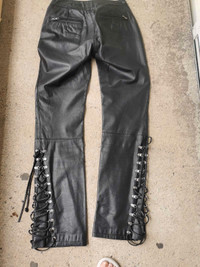 Harley Davidson leather pants 