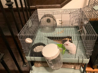Hamster + cage $10