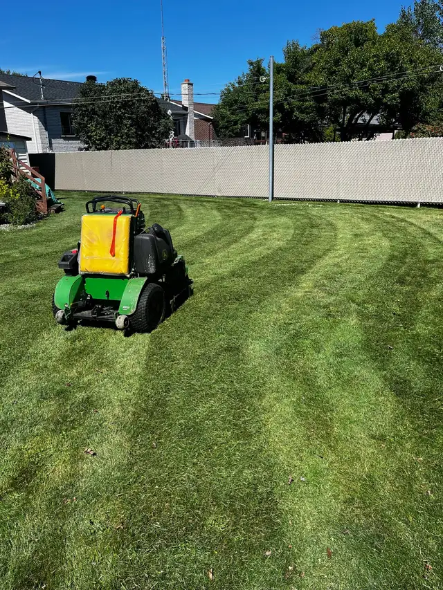 Lawn Mowing