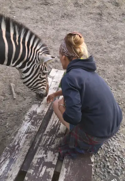 general labor worker, View more