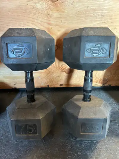 75LB and 85 LB Hex Dumbbells, View more