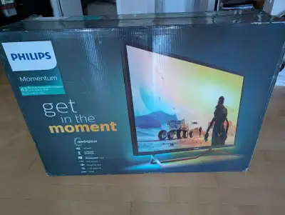 43 Inch Philips Momentum 4K High Definition Monitor, View more