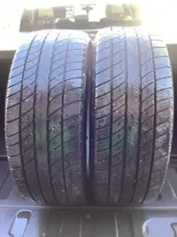 Tiger paw tires