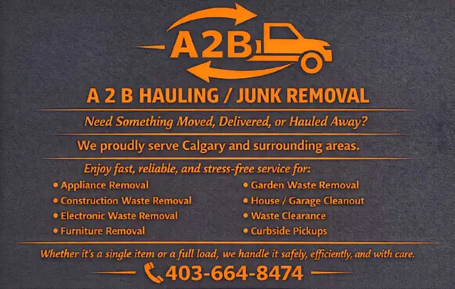 SPRING CLEAN IS HERE – MARCH SPECIAL!  in Events in Calgary - Image 2