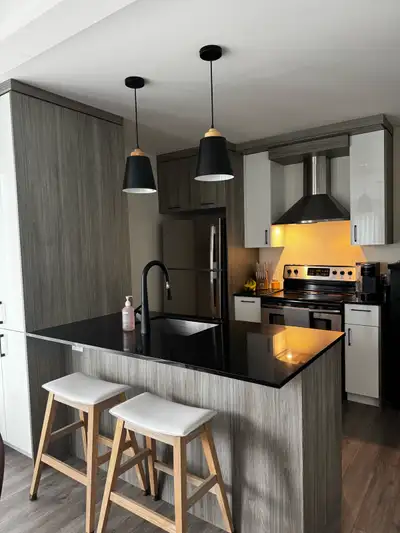 Appartement 4 1/2 à louer