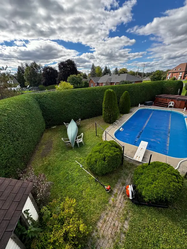 Hedge Trim / Planting /Removal / Aeration / Dethatch / hiring62863719805058121