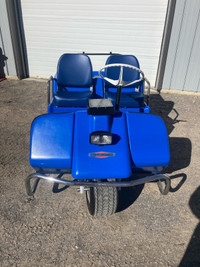 Vintage 1971 Harley-Davidson Golf Cart