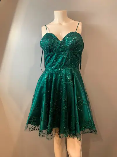 Worn for one night only young girls like new emerald green grad dress. Or whatever dress .Paid over...