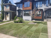 Best Prices on Sod Installation & Landscaping Services