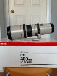 Canon EF 400mm f5.6L with Lenscoat and UV filter