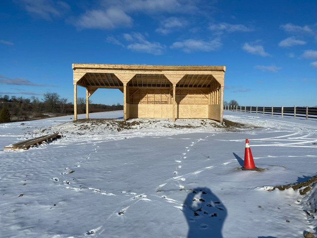 Horse fence and Shelters in Patio & Garden Furniture in Peterborough - Image 3