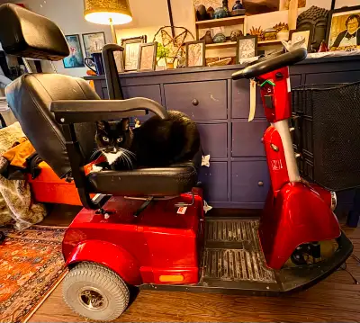 Scooter has low mileage and new tires. All else is As Is and is reflected in the price.