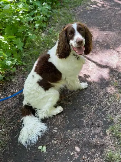 looking for good home, View more