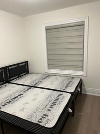 Spacious private room for rent 