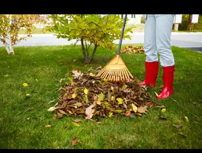 Leaf raking service  , View more