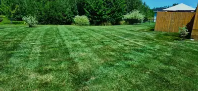 Seasonal Lawn Care + Services  *Free Estimates*, View more
