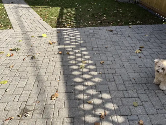 Paving stones  in Floors & Walls in St. Catharines - Image 3