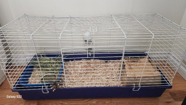 Small pet in Small Animals for Rehoming in Sault Ste. Marie - Image 4
