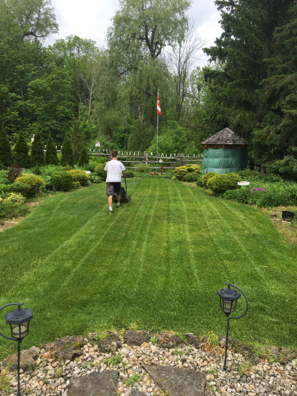 LAWN CORE AERATION! STARTING FROM $45 FRONT AND BACK! INSURED ! in Lawn, Tree Maintenance & Eavestrough in Hamilton
