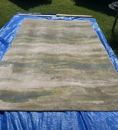 Large Super Clean Belgium Rug, View more