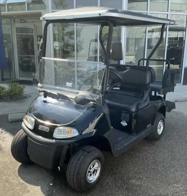 Golf cart lithium electric in Golf in Prince George - Image 3