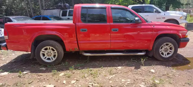 2004 Dodge Dakota596423590260910083