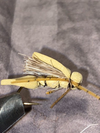 Flies for sale message if interested and I will ship out to u  