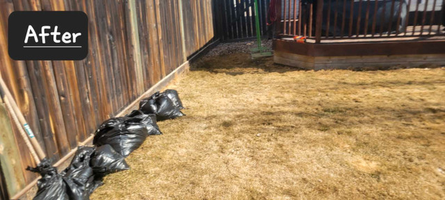 Dog waste removal & yard cleaning services available  in Animal & Pet Services in Edmonton - Image 4