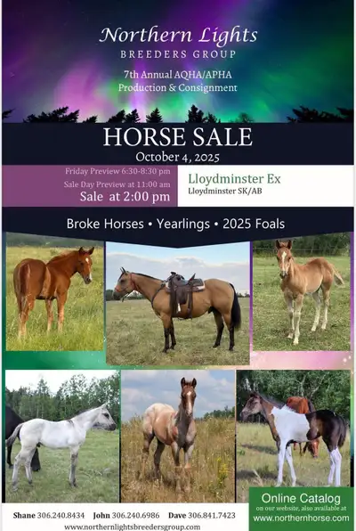 Hello come join us for the 7th annual Northen Lights Breeders Group horse sale there is a excellent...