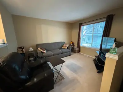 Beautiful Summerside 3 bdr Duplex townhome in SW Edmonton