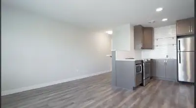 Cozy 1 Bedroom for Sublet (August 1) - $1200