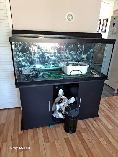 aquarium , View more