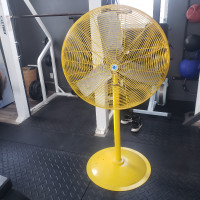 Gym Fan large