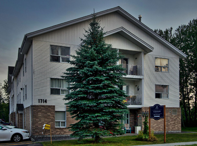 Newly Renovated 2 Bedroom Apartment Unit for Rent in Long Term Rentals in Thunder Bay