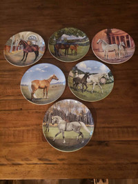 Spode horse plate collection 