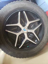 Ford SHO rims and tires