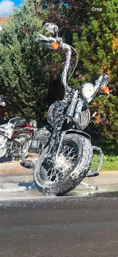 09 Harley cross bones 2009 Harley cross bones aftermarket headlight and signals, Harley hard bags, q...