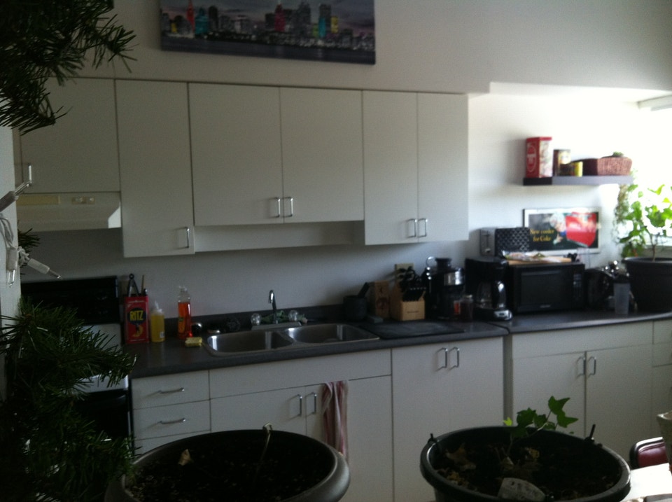 QUALITY LARGE 1 BDRM -EAST CITY - ON ROTARY TRAIL-AVAIL NOV. 1ST 3