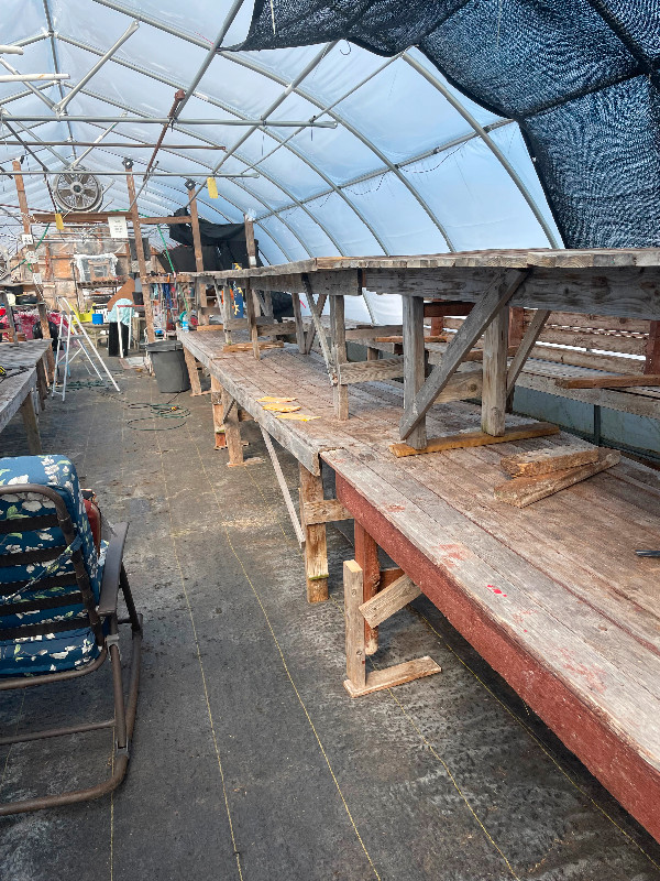 Looking for a Greenhouse in Outdoor Tools & Storage in Cape Breton - Image 3