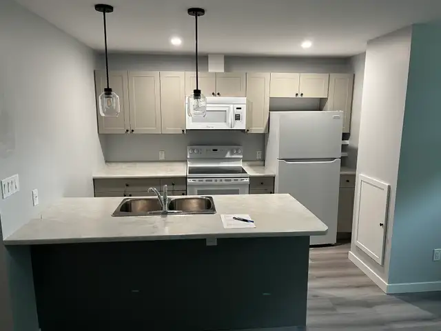 Finish Carpentry Services519423088154398726