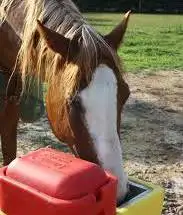 Ritchie Fountains , View more