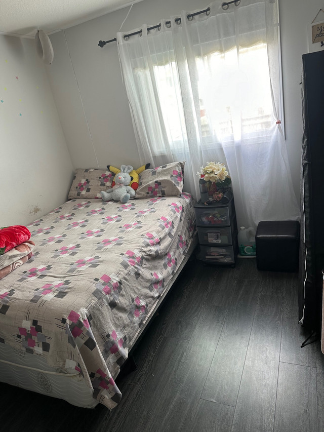 One room available on sharing basses for girls/boys/couples  in Short Term Rentals in Kingston - Image 4