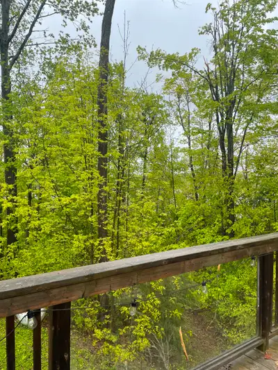 Loft for rent in Buckhorn