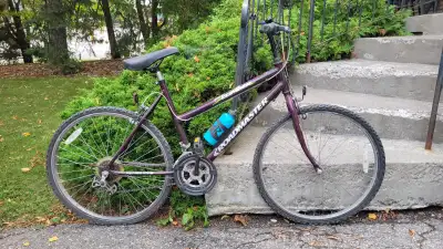 Bikes for sale, View more