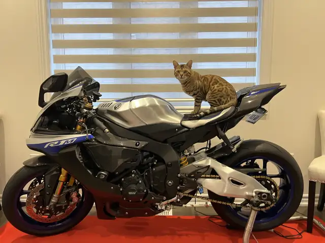 2018 Yamaha R1M in Sport Bikes in Markham / York Region - Image 3