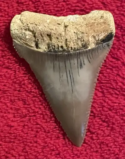 Great piece of marine history, would make a nice pendant if put in good setting if wanted $150/OBO