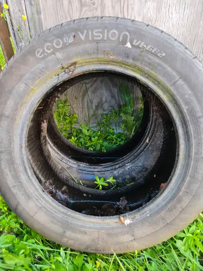 Ovation tires all season 205 55 16