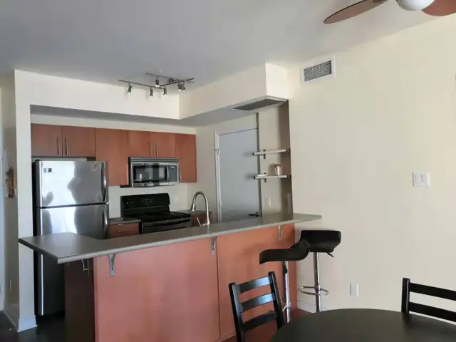 Luxury Downtown Ottawa Condo for Rent in Long Term Rentals in Ottawa - Image 5